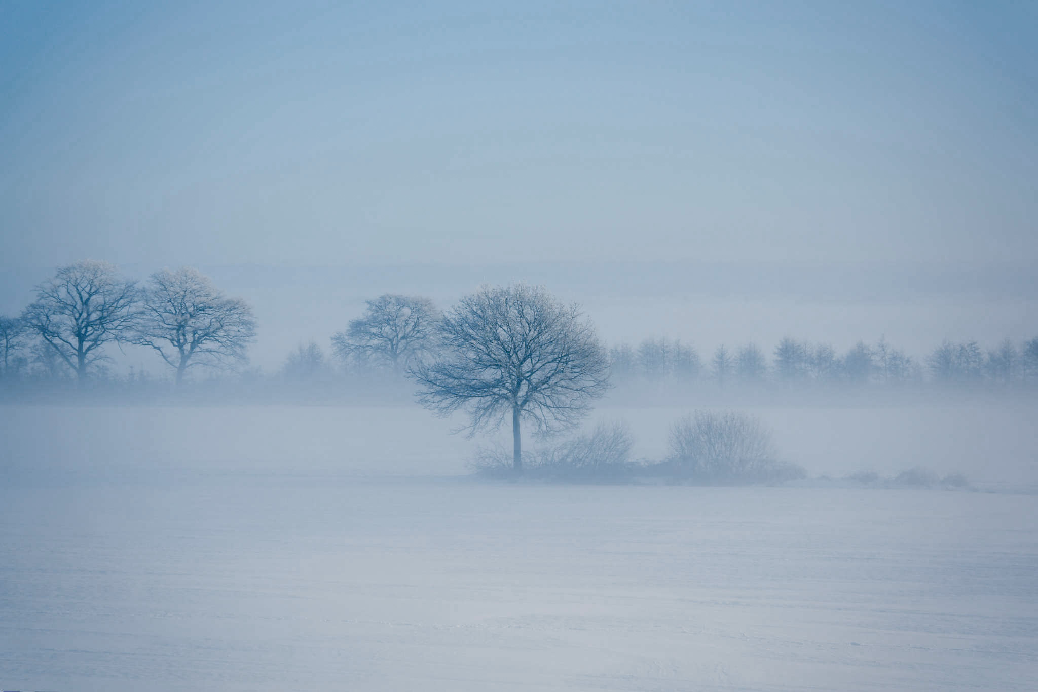 winter-fog.jpg